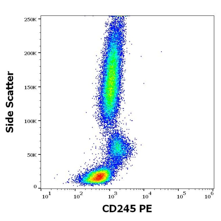 Flow Cytometry - Anti-CD245 Antibody [DY12] (PE) (A320705)
