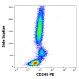 Flow Cytometry - Anti-CD245 Antibody [DY12] (PE) (A320705)