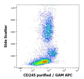 Flow Cytometry - Anti-CD245 Antibody [DY12] (A320706)