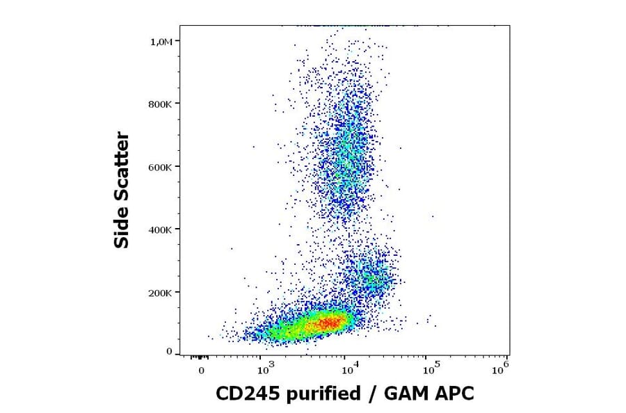 Flow Cytometry - Anti-CD245 Antibody [DY12] (A320706)