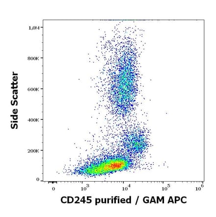 Flow Cytometry - Anti-CD245 Antibody [DY12] (A320706)
