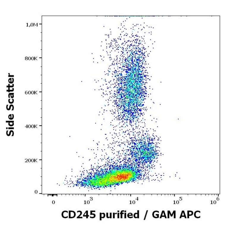 Flow Cytometry - Anti-CD245 Antibody [DY12] (A320706)