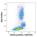 Flow Cytometry - Anti-CD245 Antibody [DY12] (A320706)