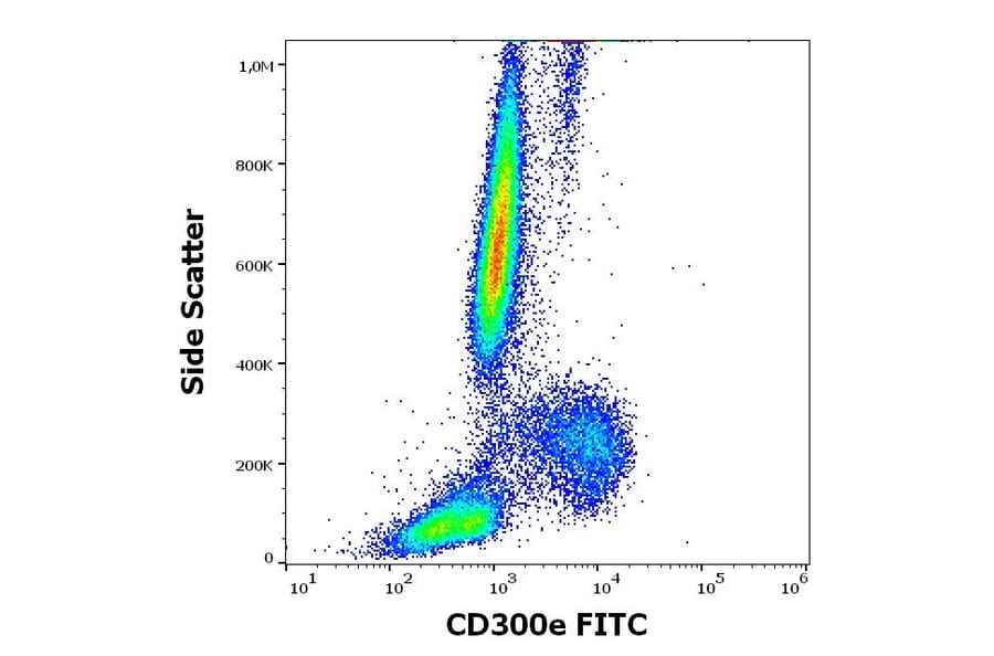 Flow Cytometry - Anti-CD300e Antibody [UP-H2] (FITC) (A320708)