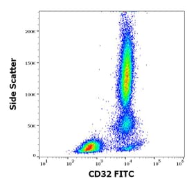 Flow Cytometry - Anti-CD32 Antibody [3D3] (FITC) (A320711)