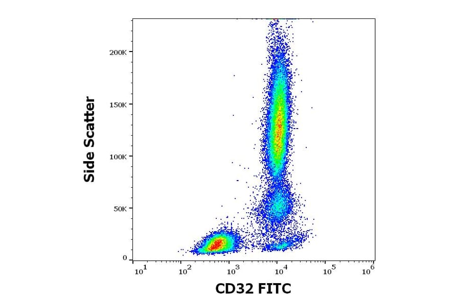 Flow Cytometry - Anti-CD32 Antibody [3D3] (FITC) (A320711)