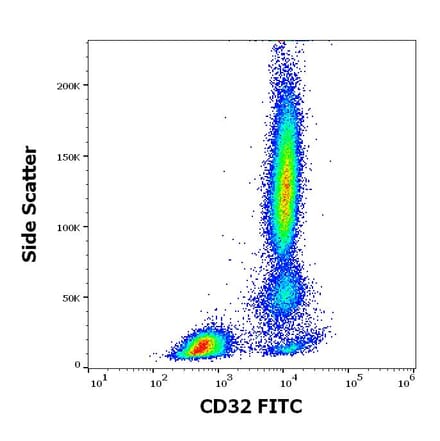 Flow Cytometry - Anti-CD32 Antibody [3D3] (FITC) (A320711)