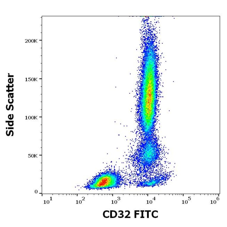 Flow Cytometry - Anti-CD32 Antibody [3D3] (FITC) (A320711)