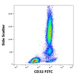 Flow Cytometry - Anti-CD32 Antibody [3D3] (FITC) (A320711)