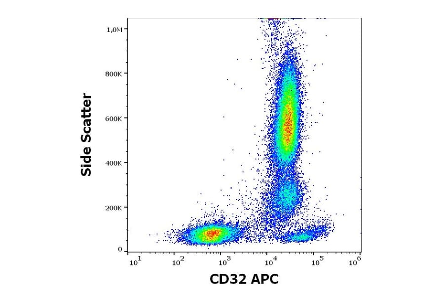 Flow Cytometry - Anti-CD32 Antibody [3D3] (APC) (A320712)