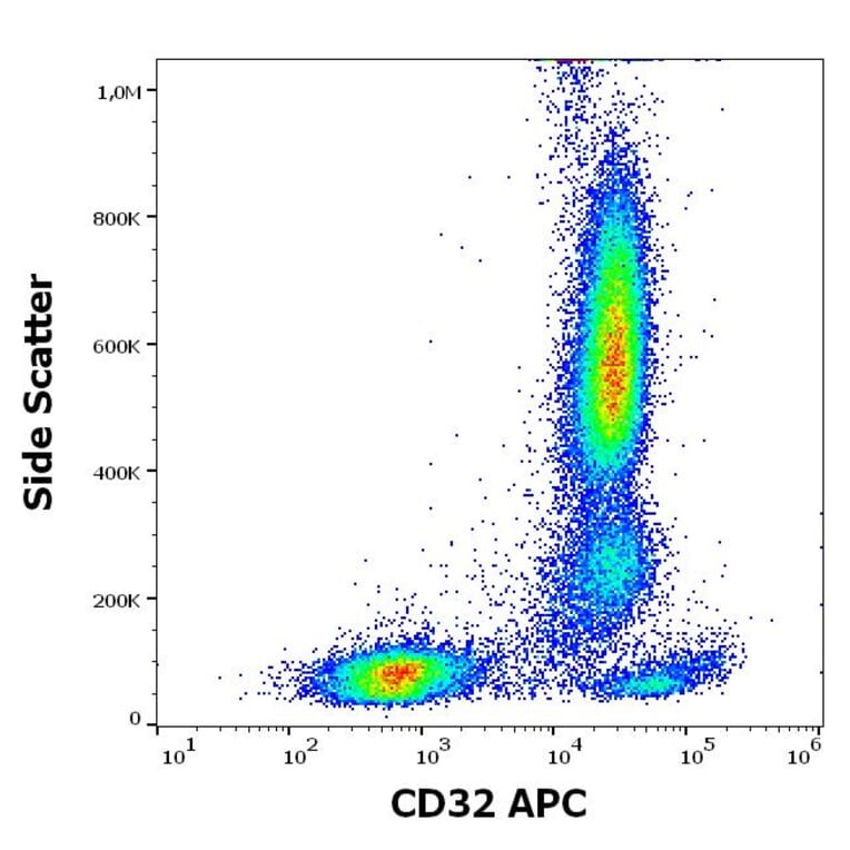 Flow Cytometry - Anti-CD32 Antibody [3D3] (APC) (A320712)