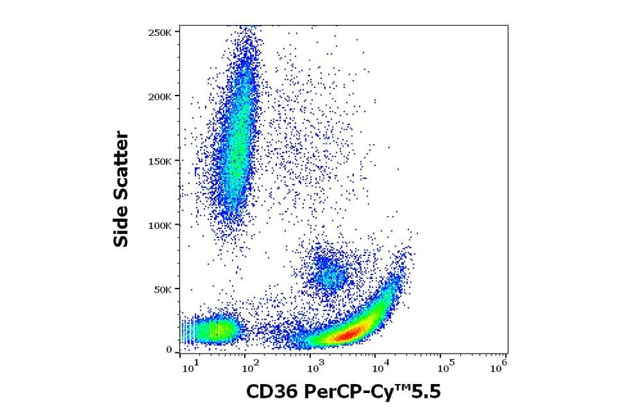 Flow Cytometry - Anti-CD36 Antibody [CB38] (PerCP-Cyanine 5.5) (A320714)