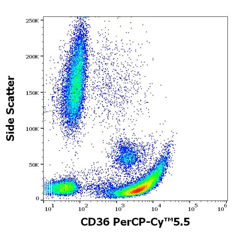 Flow Cytometry - Anti-CD36 Antibody [CB38] (PerCP-Cyanine 5.5) (A320714)