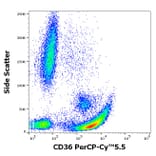 Flow Cytometry - Anti-CD36 Antibody [CB38] (PerCP-Cyanine 5.5) (A320714)