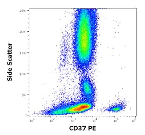 Flow Cytometry - Anti-CD37 Antibody [MB-1] (PE) (A320715)