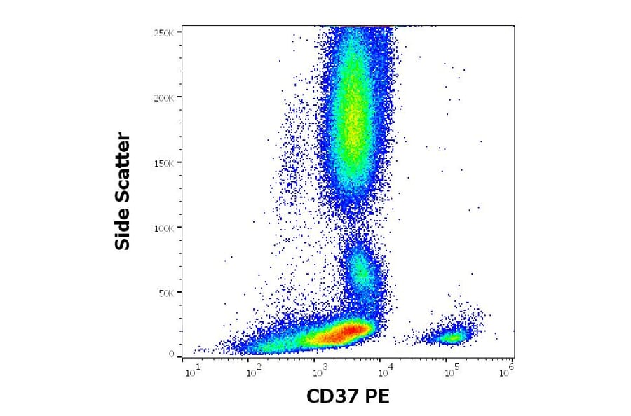 Flow Cytometry - Anti-CD37 Antibody [MB-1] (PE) (A320715)