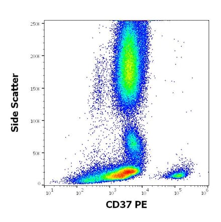 Flow Cytometry - Anti-CD37 Antibody [MB-1] (PE) (A320715)