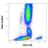 Flow Cytometry - Anti-CD37 Antibody [MB-1] (PE) (A320715)