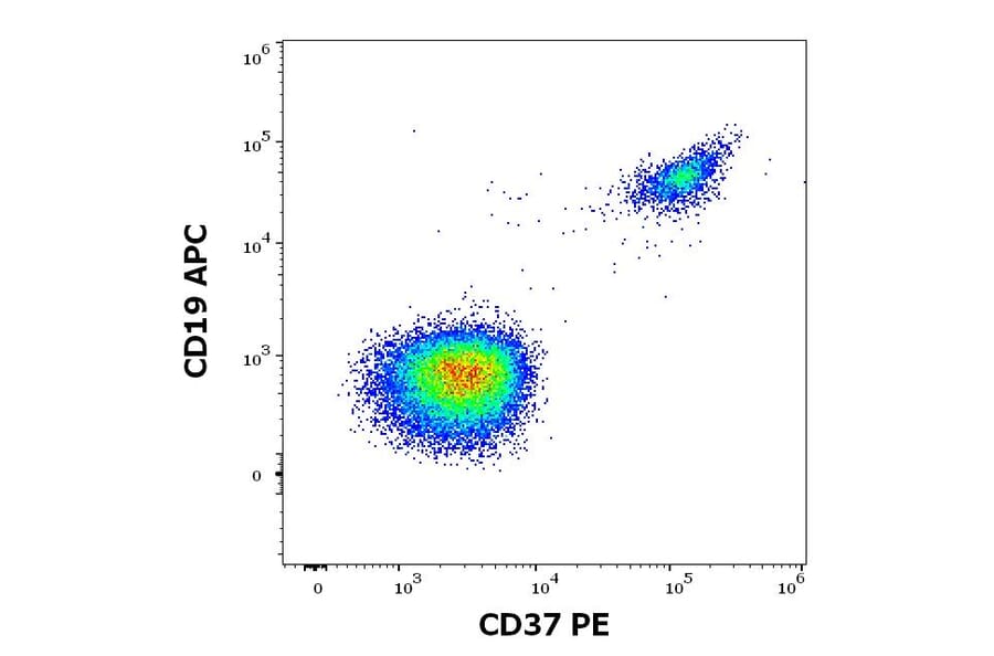 Flow Cytometry - Anti-CD37 Antibody [MB-1] (PE) (A320715)