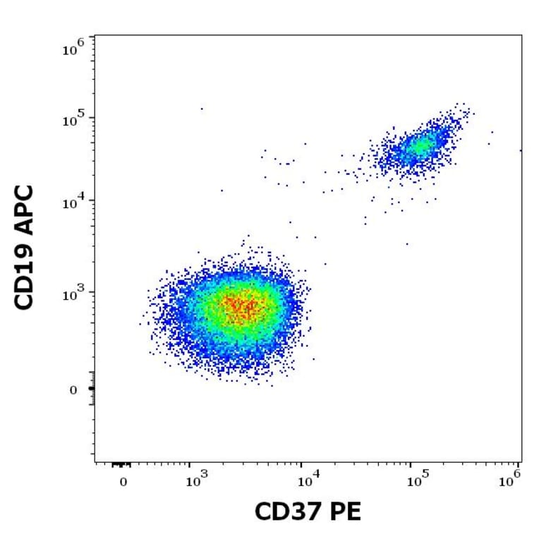 Flow Cytometry - Anti-CD37 Antibody [MB-1] (PE) (A320715)
