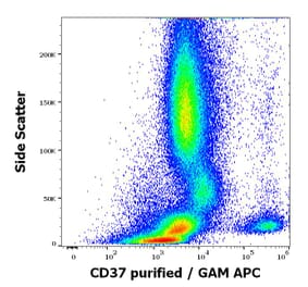 Flow Cytometry - Anti-CD37 Antibody [MB-1] (A320716)