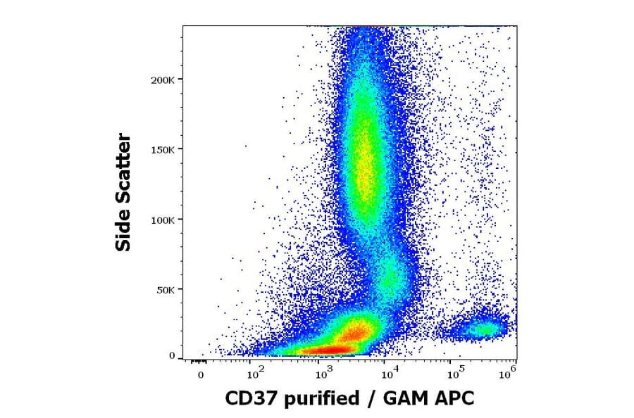 Flow Cytometry - Anti-CD37 Antibody [MB-1] (A320716)