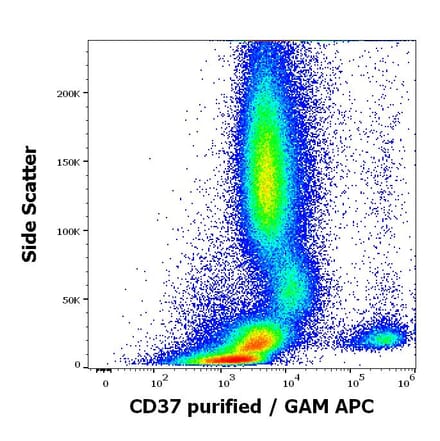 Flow Cytometry - Anti-CD37 Antibody [MB-1] (A320716)