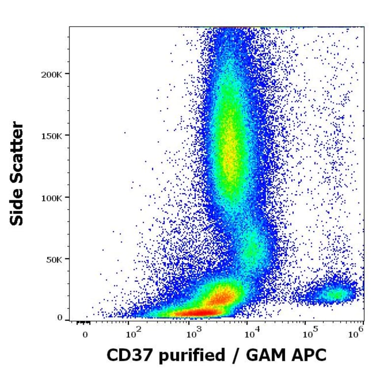 Flow Cytometry - Anti-CD37 Antibody [MB-1] (A320716)