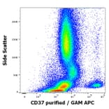 Flow Cytometry - Anti-CD37 Antibody [MB-1] (A320716)
