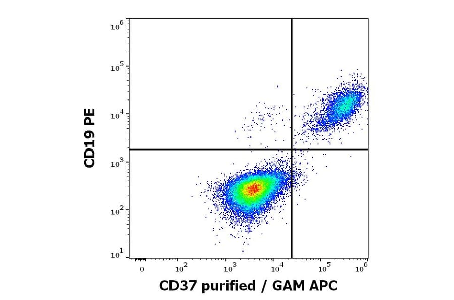 Flow Cytometry - Anti-CD37 Antibody [MB-1] (A320716)