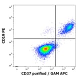 Flow Cytometry - Anti-CD37 Antibody [MB-1] (A320716)