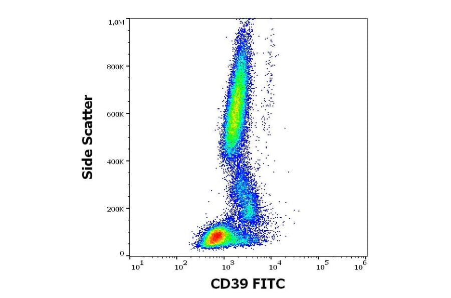 Flow Cytometry - Anti-CD39 Antibody [TU66] (FITC) (A320717)
