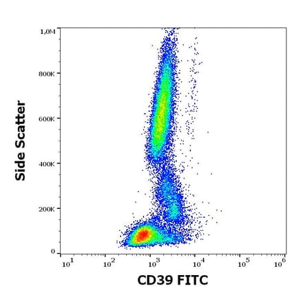 Flow Cytometry - Anti-CD39 Antibody [TU66] (FITC) (A320717)