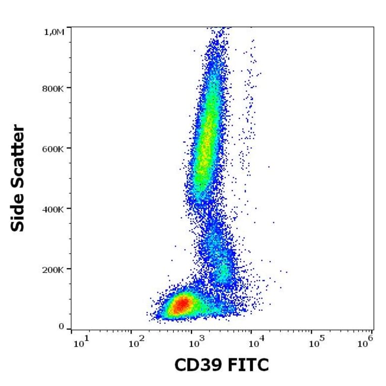 Flow Cytometry - Anti-CD39 Antibody [TU66] (FITC) (A320717)