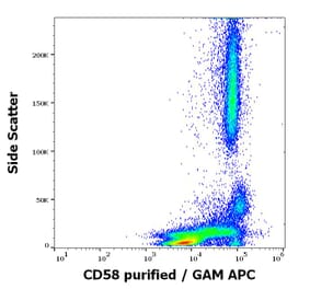 Flow Cytometry - Anti-CD58 Antibody [MEM-63] (A320720)