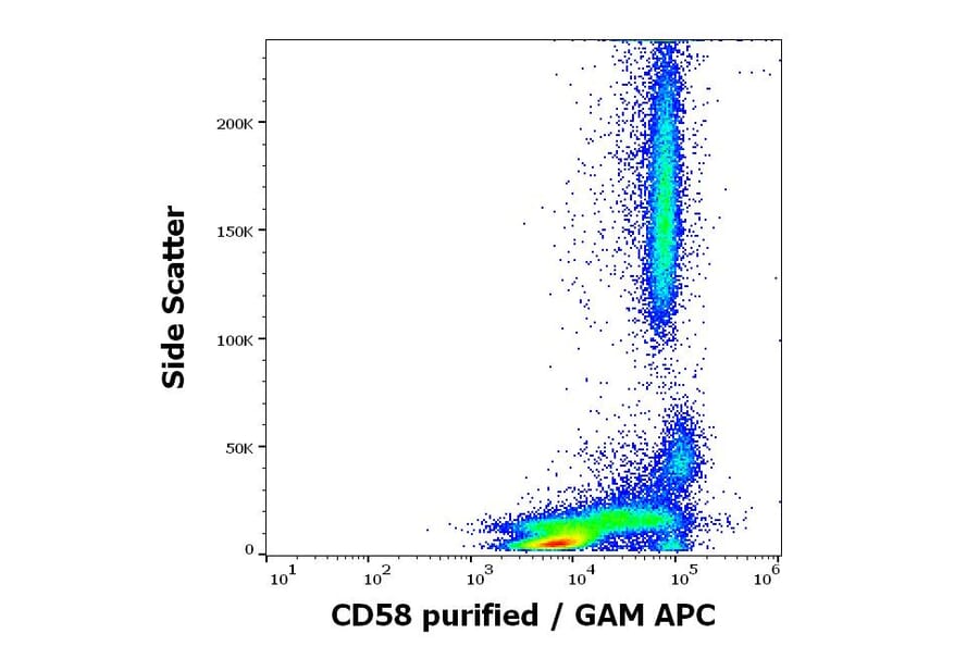 Flow Cytometry - Anti-CD58 Antibody [MEM-63] (A320720)
