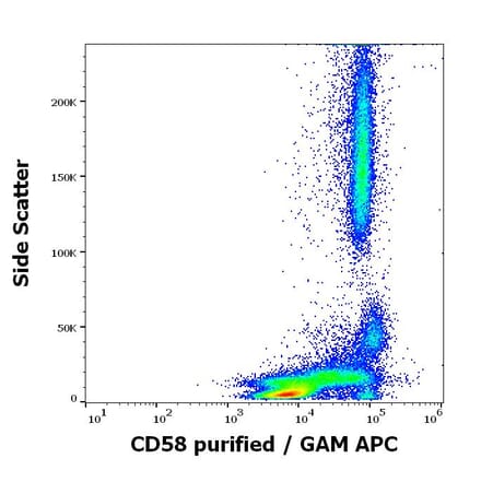Flow Cytometry - Anti-CD58 Antibody [MEM-63] (A320720)