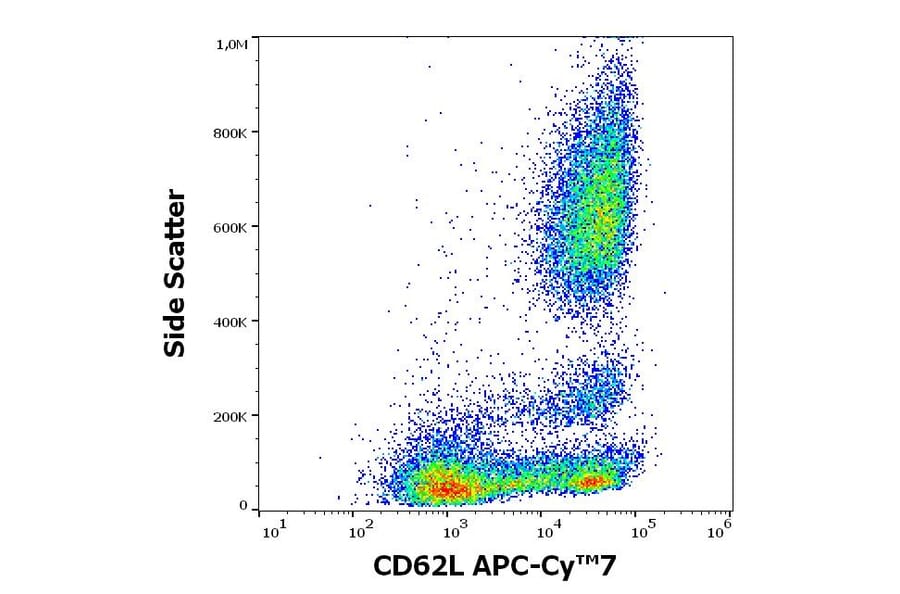 Flow Cytometry - Anti-CD62L Antibody [DREG56] (APC-Cyanine 7) (A320721)