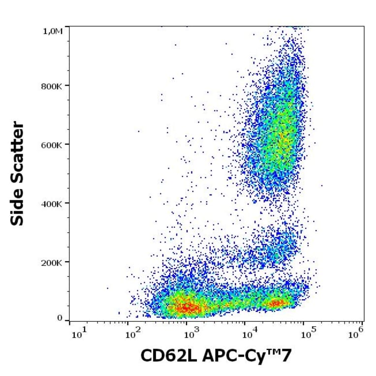 Flow Cytometry - Anti-CD62L Antibody [DREG56] (APC-Cyanine 7) (A320721)