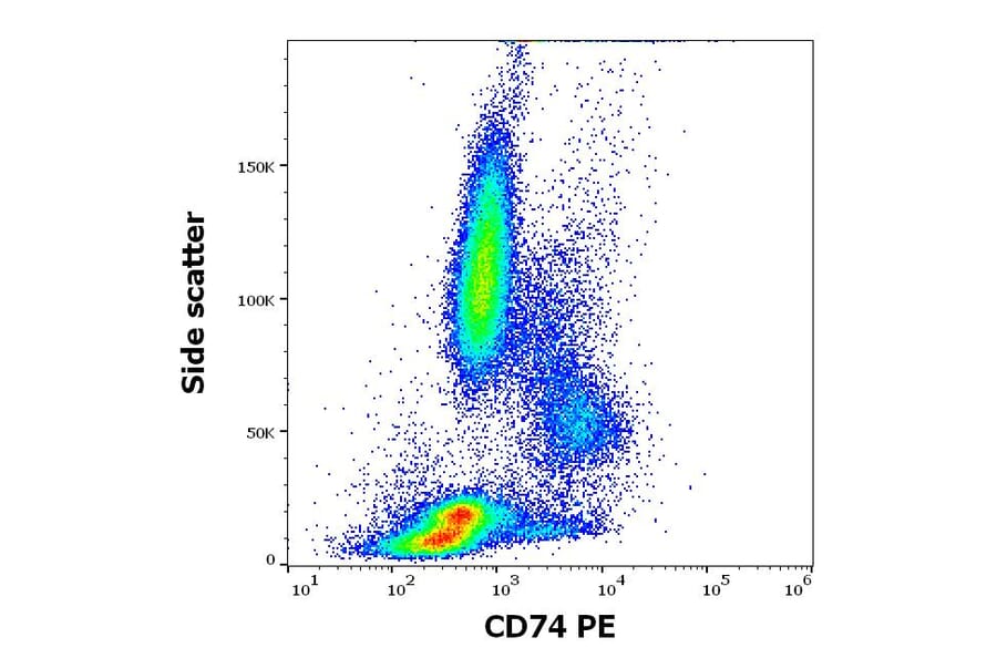 Flow Cytometry - Anti-CD74 Antibody [LN2] (PE) (A320722)