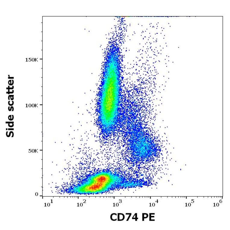 Flow Cytometry - Anti-CD74 Antibody [LN2] (PE) (A320722)