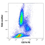 Flow Cytometry - Anti-CD74 Antibody [LN2] (PE) (A320722)