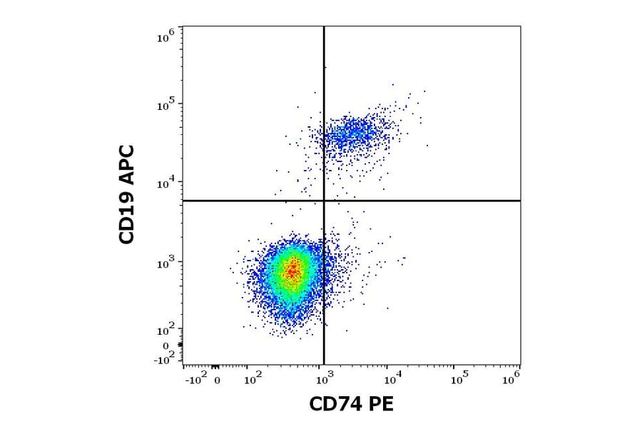 Flow Cytometry - Anti-CD74 Antibody [LN2] (PE) (A320722)