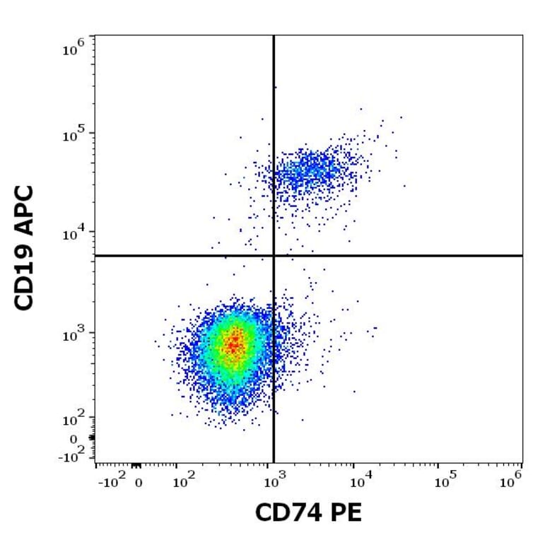 Flow Cytometry - Anti-CD74 Antibody [LN2] (PE) (A320722)
