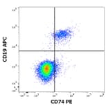 Flow Cytometry - Anti-CD74 Antibody [LN2] (PE) (A320722)