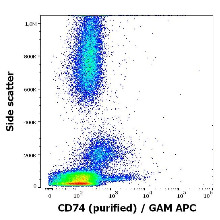 Flow Cytometry - Anti-CD74 Antibody [LN2] (A320723)