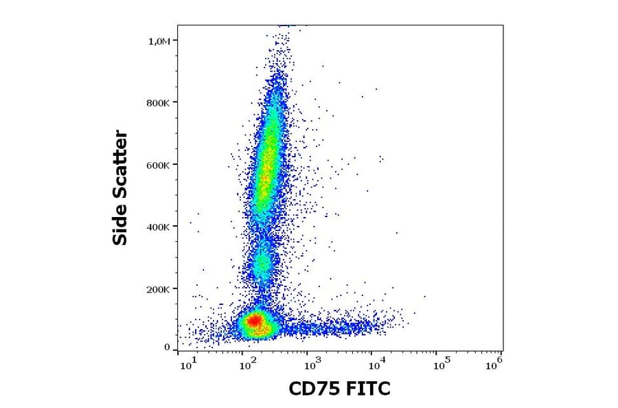 Flow Cytometry - Anti-CD75 Antibody [LN1] (FITC) (A320724)