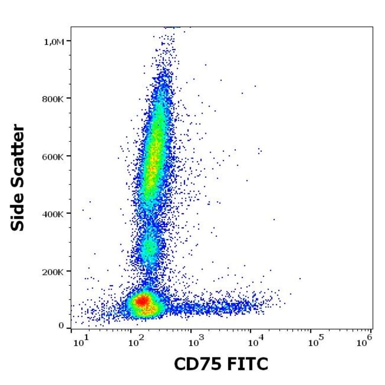 Flow Cytometry - Anti-CD75 Antibody [LN1] (FITC) (A320724)