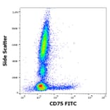Flow Cytometry - Anti-CD75 Antibody [LN1] (FITC) (A320724)
