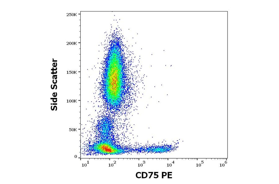 Flow Cytometry - Anti-CD75 Antibody [LN1] (PE) (A320725)